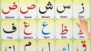 Alif Ba Ta Sa | Learn Alif Baa Taa | Arabic alphabet for beginners | @anooraniqaida 