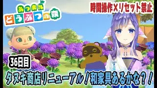 タヌキ商店リニューアル！今日も島整備だぞ～🌿｜あつ森36日目 #Vtuber  #Switch2 #あつ森 #ACNH