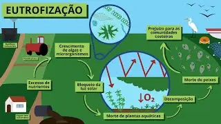 Eutrofização: Impactos e Soluções