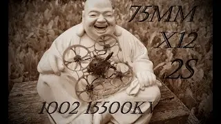 75mm Whoopin