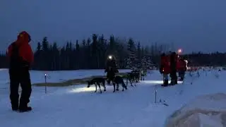 Whitehorse &mdash; Here comes the Ryno Kennel Team!
