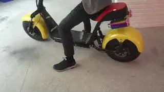 fat tire harley electric scooter lithium battery OEM 20AH