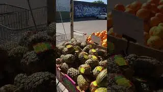 Seaton Supreme Foods