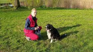 Leren apporteren van de bal