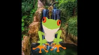 frog garden escape video walkthrough