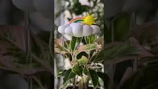 Gifts for Women Amazon Finds with Links - TikTok Compilation #shorts