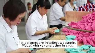 Why Kingspeed Pet products is your best private label pet product manufacturers?