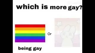 Which is more gay??