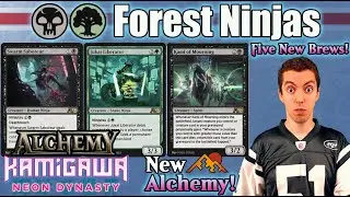 (Alchemy: Neon Dynasty) ⚫🟢 Forest Ninjas - 🐱&zwj;👤 Ninja Vanish! 🐱&zwj;👤