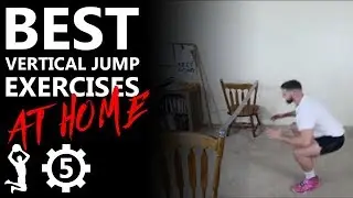 Vertical Jump Training Workout At Home (INCREASE YOUR VERTICAL JUMP WITHOUT WEIGHTS!)