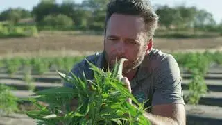 Morning View Farms Testimonial - Shivvers Hemp Drying Systems