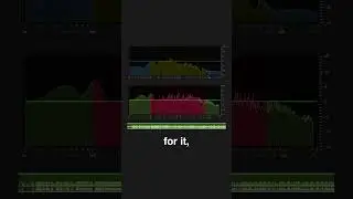Add music to your videos the right way #premiereprobasics #premiereprotips #videoeditingtips