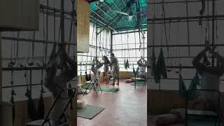Master Headstand Safely: The Iyengar Yoga Method for Beginners (Chair & Ropes)