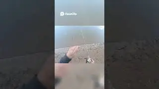 Pescaria &Eacute;pica no Rio Mogi  Muita A&ccedil;&atilde;o e Peixes Incr&iacute;veis! #shorts