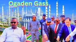 Посмотрите, как эфиопская железная дорога едет на нефтяное месторождение и как это происходит