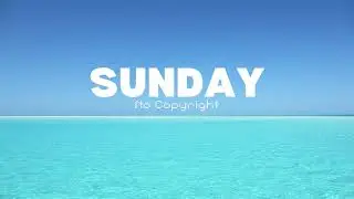 Waesto - Heaven《Sunday No Copyright Music》