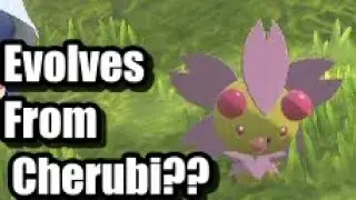 How To Evolve Cherubi Pokemon Legends Arceus
