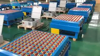 Wave sorter fabrication