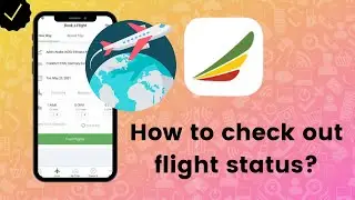 How to check out the flight status on Ethiopian Airlines?