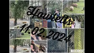 HOWLETTS WILDLIFE PARK / FEBRUARY HALF TERM 2024 / THE YOUNG FAMILY ADVENTURES