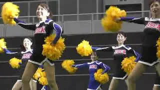 【チアリーダー】横浜アリーナふるさと港北ふれあいまつりにチアリーディングを見に行ってきた【チアダンス】