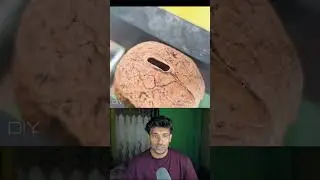 Not Just a Walnut &mdash; It&rsquo;s a Secret Camera I Created!