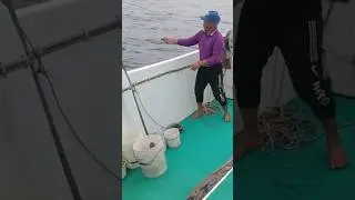 Taiwan fishing boat operation handline fishing using prawn bait #ofwlife