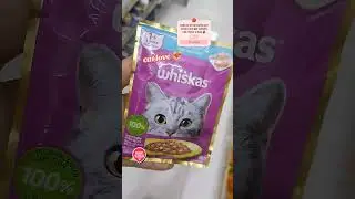 pet essentials #cat #bestpetsupplies #catfood #petcareprovider #animallovers
