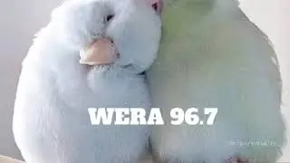 GloBeat July &lsquo;20 Mix