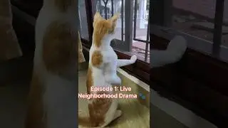 She&rsquo;s Watching EVERYTHING&hellip; No Spoilers Needed 😼