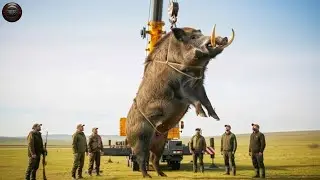 &iexcl;Jabal&iacute; MONSTRUO! C&oacute;mo Ganaderos Derribaron al L&iacute;der M&aacute;s Gigante de la Piara