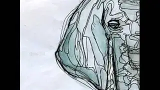 Desidia - Merma