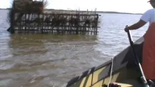 COMMERCIAL GILLNET FISHING FOR MULLET