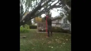 Stalpen Tree Jack