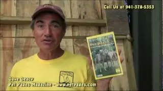 Pet Chamber of Commerce TV - PetPages.com