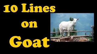 'The Goat Essay' | 10 lines On Goat In English For Kids | Easy Essay On Goat | In English.(2021)