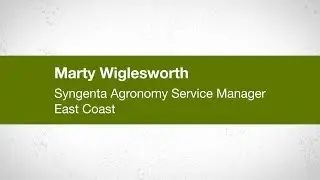 Downy Mildew Damage to Vegetable Crops on the East Coast