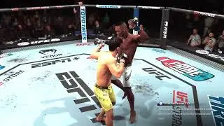 UFC championship knockout