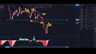Backtesting Gold with Pivot Points and MACD