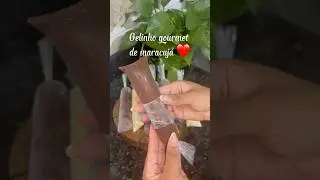 Gelinho geladinho ou sacol&eacute; ?❤️#receitas #donadecasa #crian&ccedil;as #gelinho #receitafacil #ver&atilde;o