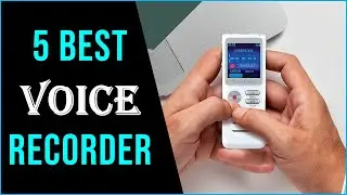 Top 5 Best Voice Recorder of 2023 | Digital Audio Guide