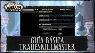 Configurar Addon TSM4.1 | Gu&iacute;a TradeSkillMaster | World of Warcraft | Shadowlands