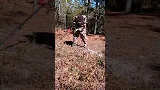 Metal detecting Deep woods Civil War Bullets