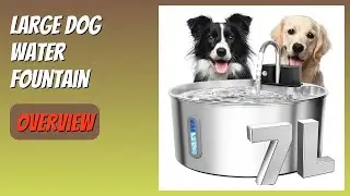 REVIEW (2025): Large Dog Water Fountain. Features
