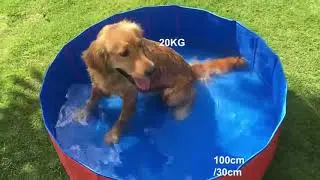 Fuloon Pet Pool PVC Pet Swimming Pool Portable Foldable Pool Dogs Cats Bathing Tub Bathtub