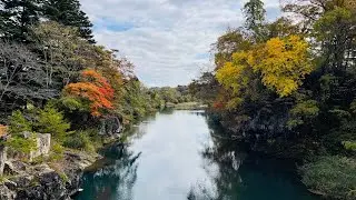 紅葉の🍁厳美渓　2025年11月8日