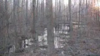Hart, MI Hunting Property For Sale