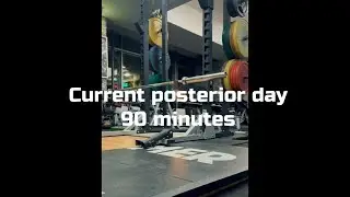 Posterior day new gym day 1 