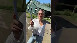 would you say she loved it?? 😂
