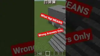 What NGL Means? Wrong Answers Only